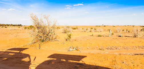 Image showing Safari Vehicles silhouettes