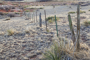 Image showing cattle barbed wire fence