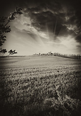 Image showing Farm house in the Tuscany region of Italy