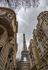 Image showing Paris Buildings with Eiffel Tower in the middle.