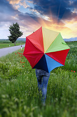 Image showing Colorful umbrella over a Green Field