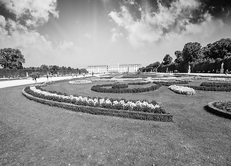 Image showing Vienna, Austria - Schoenbrunn Gardens flowers shapes, a UNESCO W