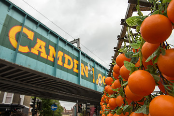 Image showing Famous Camden Market in London