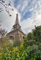Image showing Paris. Eiffel Tower with vegetation and trees on a winter mornin