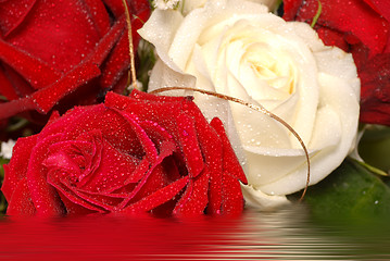 Image showing Red and white roses covered with dew in water