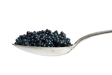 Image showing black caviar in spoon