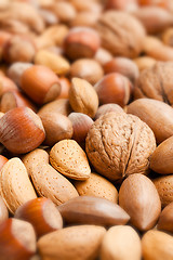 Image showing various nuts