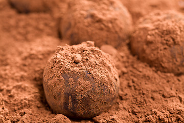 Image showing chocolate truffles 