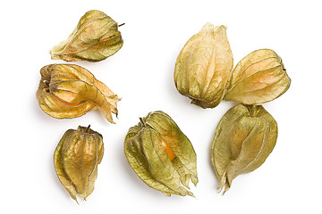 Image showing physalis fruit