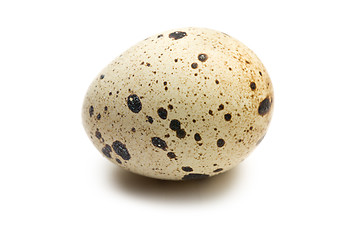 Image showing quail egg on white background
