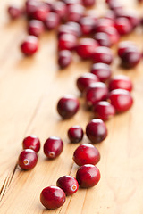 Image showing fresh cranberries