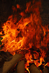 Image showing Fire