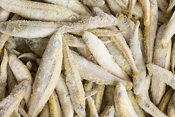 Image showing frozen anchovies