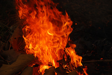 Image showing Fire