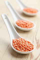 Image showing red lentils in porcelain spoon