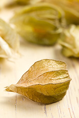 Image showing physalis fruit