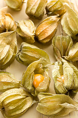 Image showing physalis fruit