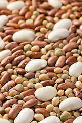 Image showing mixed legumes