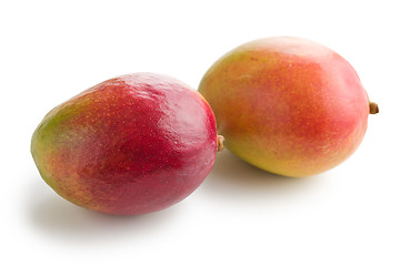 Image showing fresh mango fruit