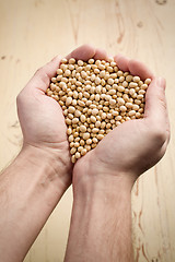Image showing soya beans in hands