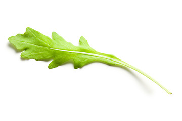 Image showing arugula leaves 