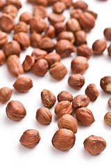Image showing hazelnuts