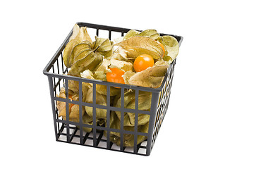 Image showing physalis fruit