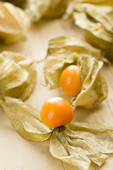 Image showing physalis fruit