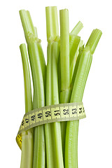 Image showing green celery sticks on white background