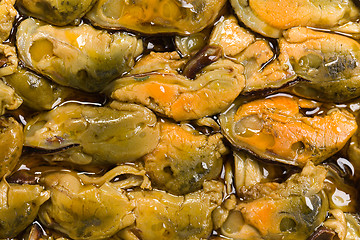 Image showing smoked mussels background