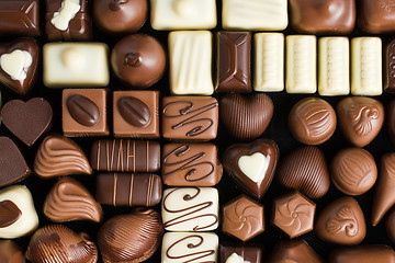 Image showing various chocolate pralines