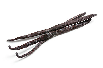 Image showing vanilla beans on white background