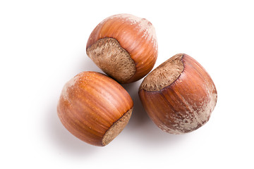 Image showing three hazelnuts