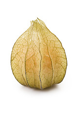 Image showing physalis fruit