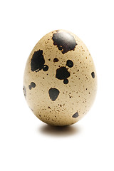 Image showing quail egg on white background