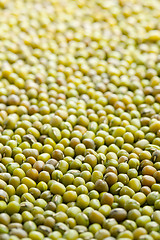 Image showing mung beans