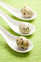 Image showing quail eggs on kitchen table