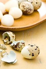 Image showing boiled quail eggs