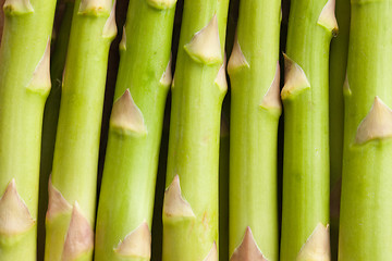 Image showing detail of fresh green asparagus