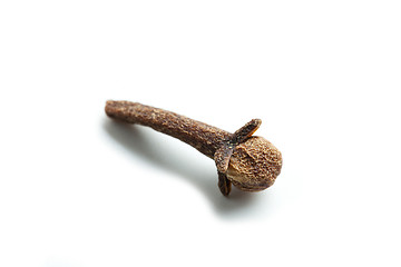Image showing clove on white background