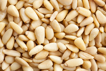 Image showing pine nuts background