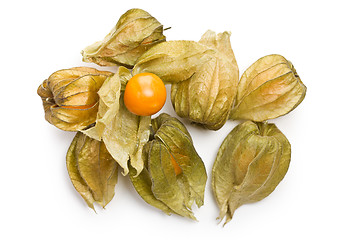 Image showing physalis fruit