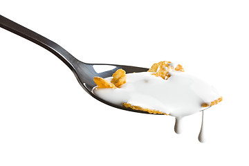 Image showing cornflakes on the spoon with milk 