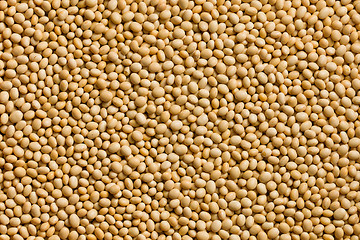 Image showing soya beans background