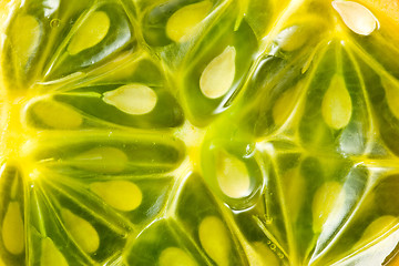 Image showing macro shot of kiwano fruit