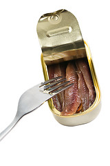 Image showing anchovies fillets in tin can