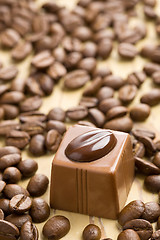 Image showing chocolate praline and coffee beans