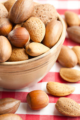 Image showing various nuts