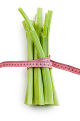 Image showing green celery sticks on white background