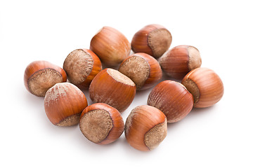 Image showing hazelnuts